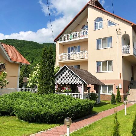 У Оксани Hotel Solochin Exterior photo