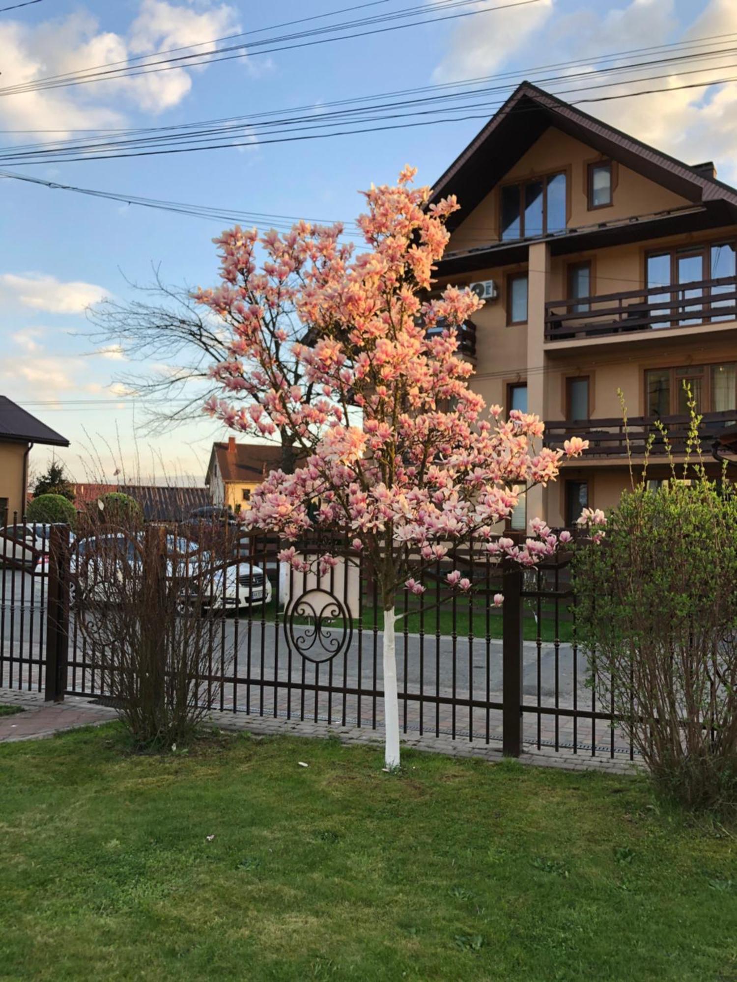 У Оксани Hotel Solochin Exterior photo